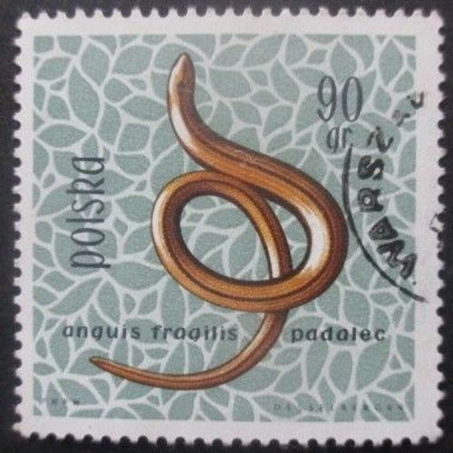 Pologne N°1263 Orvet Oblitéré