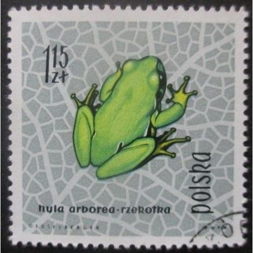 Pologne N°1264 Grenouille Oblitéré