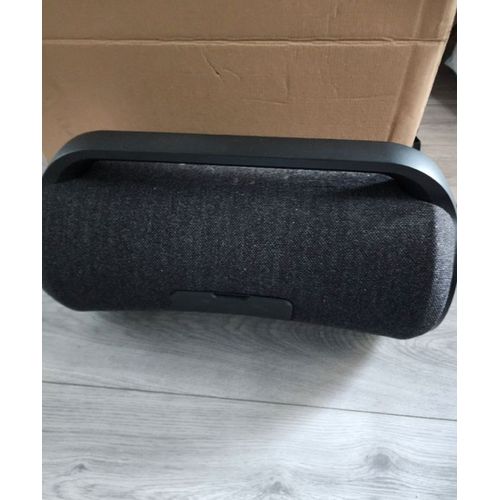 Sony enceinte SRS-XG500