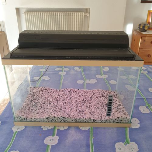 Aquarium De 38 L, En Verre , Avec Couvercle Et Néon