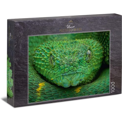Puzzle Serpent Vert Poison Puzzle Classique Made In Germany Avec 1000 Pièces - Le Serpent Vert En Gros Plan Menaçant Puzzle Animalier Difficile Pour Adultes