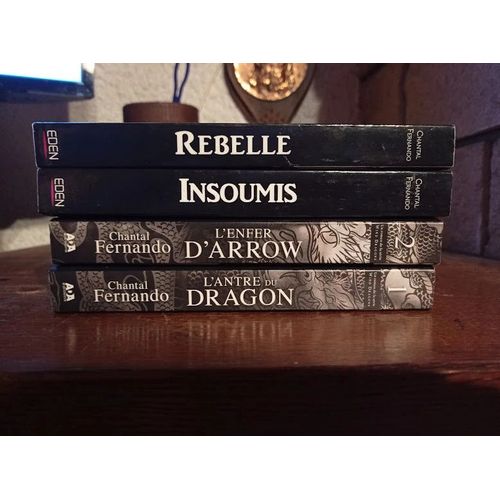 Wind Dragons 1,2,3 Et 4 Brochés Par Chantal Fernando