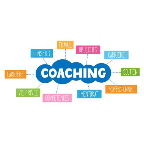 E-Book Sport Coaching