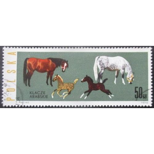 Pologne N°1315 Chevaux Oblitéré
