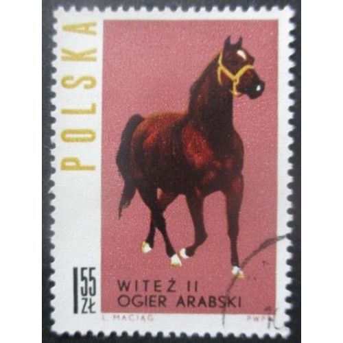 Pologne N°1318 Cheval Oblitéré
