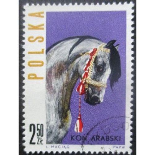 Pologne N°1319 Cheval Oblitéré