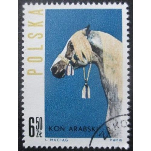 Pologne N°1321 Cheval Oblitéré