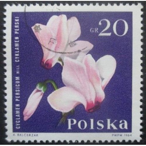 Pologne N°1394 Cyclamen Oblitéré