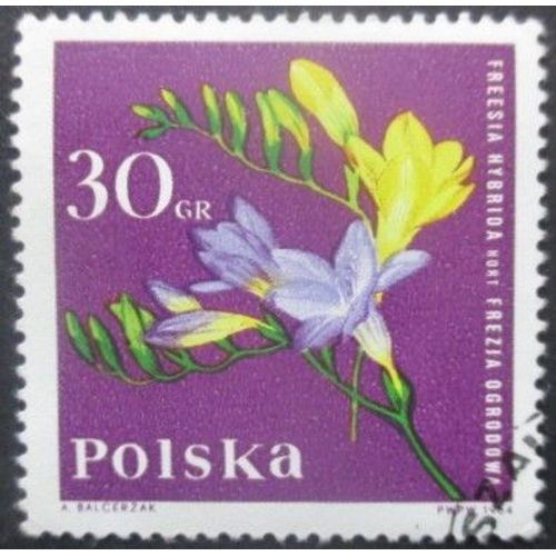 Pologne N°1395 Freesia Oblitéré