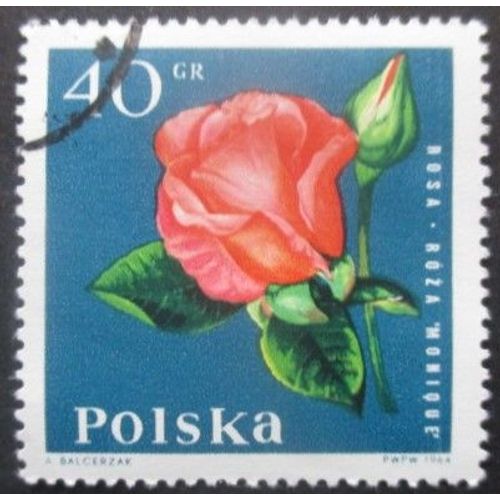 Pologne N°1396 Rose Oblitéré