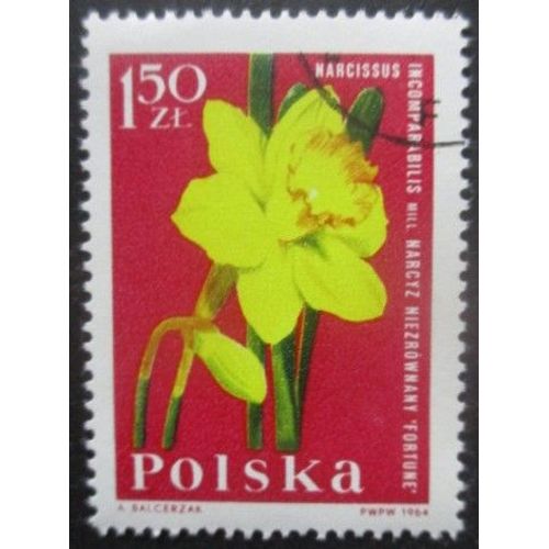 Pologne N°1401 Narcisse Oblitéré