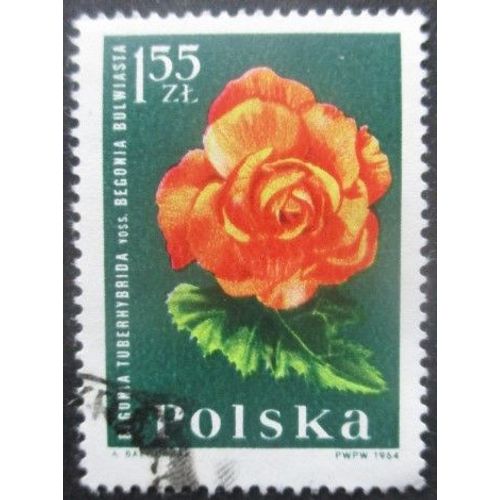 Pologne N°1402 Bégonia Oblitéré