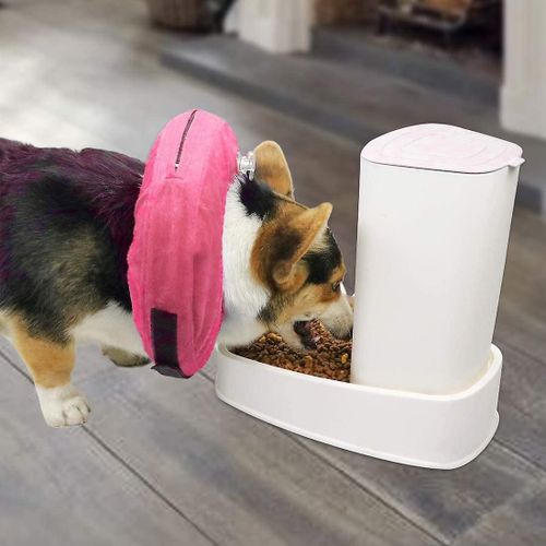 Cône Gonflable Pour Chien, Collier De Récupération Réglable Pour Chiens Après La Chirurgie, Empêcher De Mordre Et De Gratter, Ne Pas Bloquer La Vision