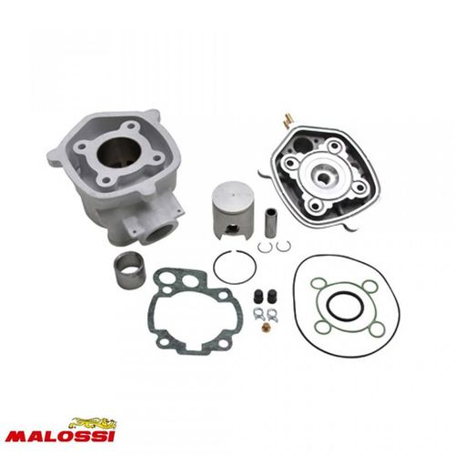 Haut Moteur Malossi Pour Moto Rieju 50 Rrx Neuf