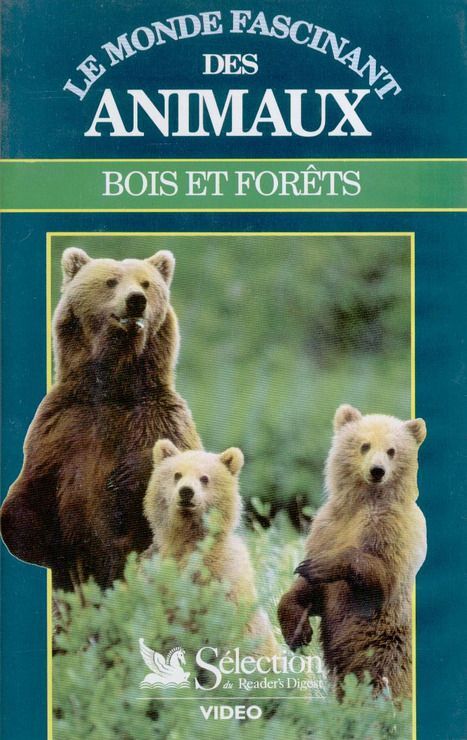 Le Monde Fascinant Des Animaux Bois Et Forets Rakuten