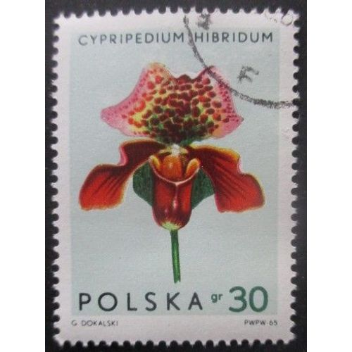 Pologne N°1464 Orchidées Oblitéré