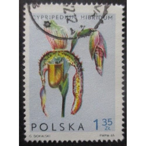 Pologne N°1468 Orchidées Oblitéré