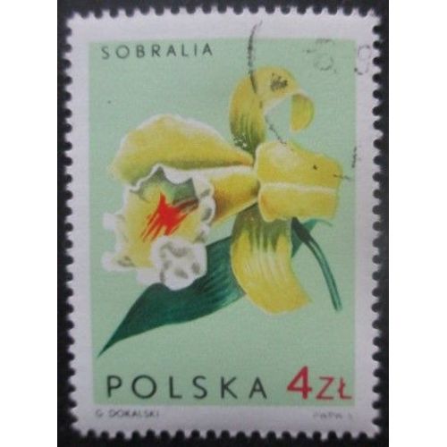 Pologne N°1469 Orchidées Oblitéré