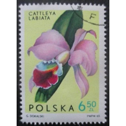 Pologne N°1471 Orchidées Oblitéré