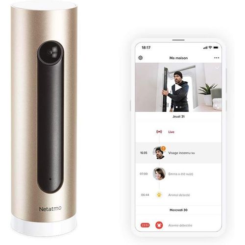 Netatmo Caméra de Surveillance Intérieure Intelligente (Reconditionnée - Grade A+), WiFi, Détection des Mouvements, Vision Nocturne, Aucun Abonnement, NSC01-R-EC