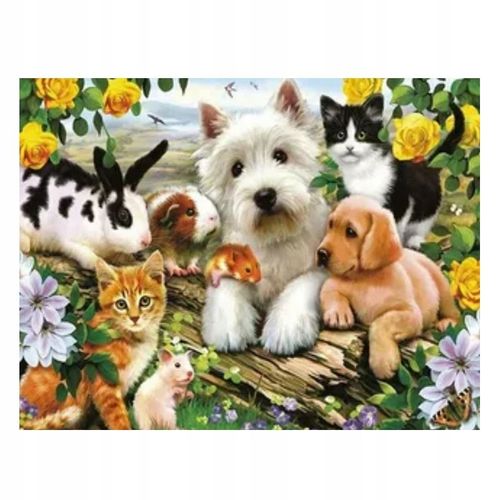5d Diamant Broderie Cheval Chien Chat Perroquet Oiseaux