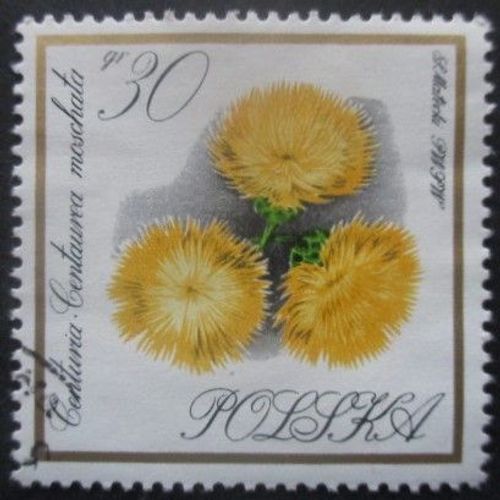 Pologne N°1548 Fleurs Oblitéré