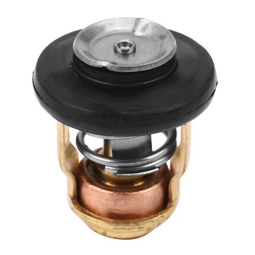 Remplacement Du Thermostat Hors-Bord À 50 Degrés Pour 6 Chevaux À 40 Chevaux 2 Temps