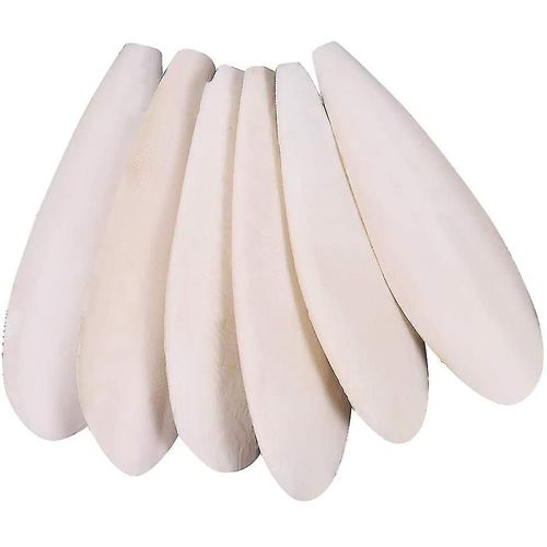 Perroquets Mâcher Jouets 6 Pièces Os De Seiche Naturel Pour Perroquets Cage Oiseaux Reptiles Tortues Escargots,10-12cm