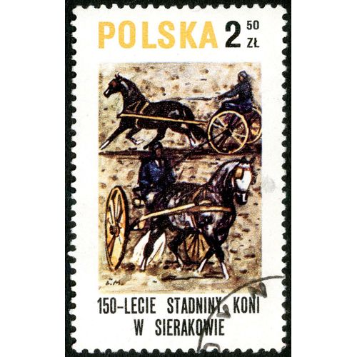 Timbre Oblitéré Polska, 150-Lecie Stadniny Koni W Sierakowie, 2.50 Zl