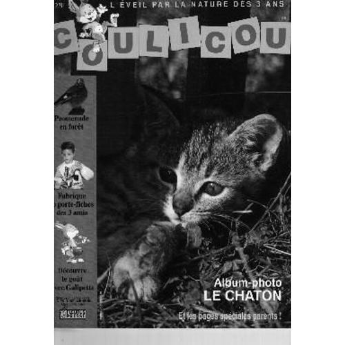 Coulicou N° 57, Album Photo Du Chaton - Promenade En Forêt - Galipette