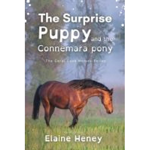 The Surprise Puppy And The Connemara Pony - Dyslexia Friendly