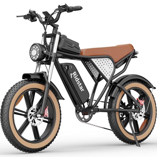 Ridstar Q20 It Vélo Électrique - Moteur 750w Batterie 48v20ah Pneus De 20 Pouces Freins Hydrauliques - Noir Brun