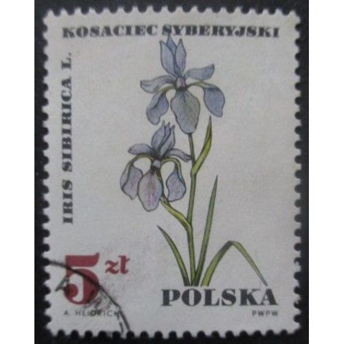 Pologne N°1629 Fleurs Oblitéré