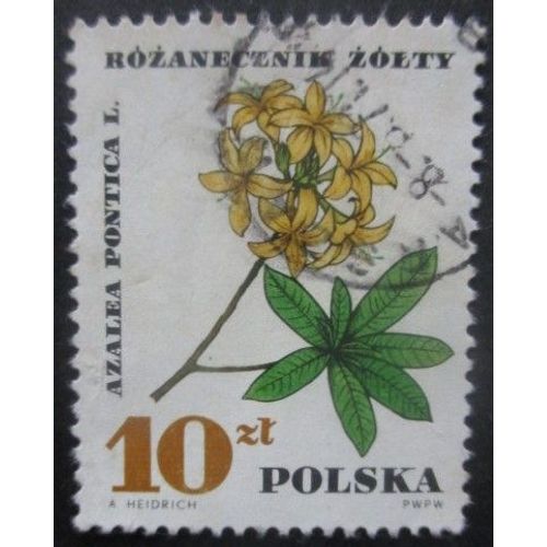 Pologne N°1630 Azalée Oblitéré