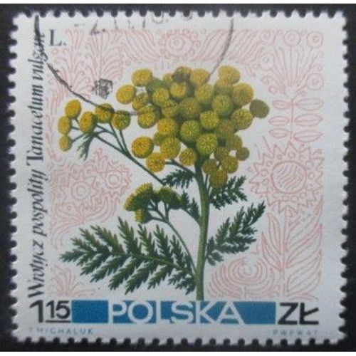 Pologne N°1640 Fleurs Oblitéré
