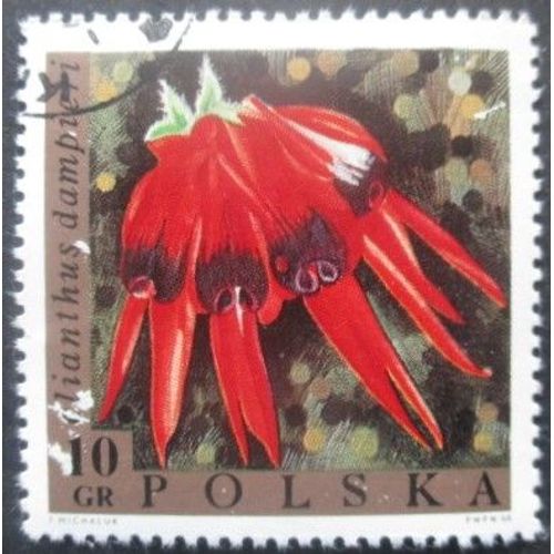 Pologne N°1686 Fleurs Oblitéré
