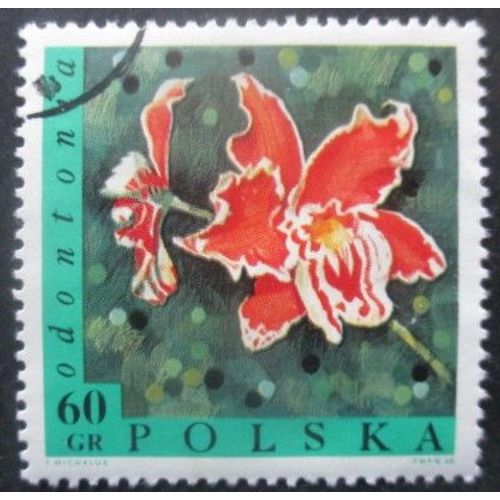 Pologne N°1690 Fleurs Oblitéré