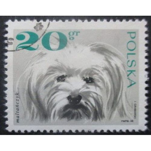 Pologne N°1748 Chien Oblitéré