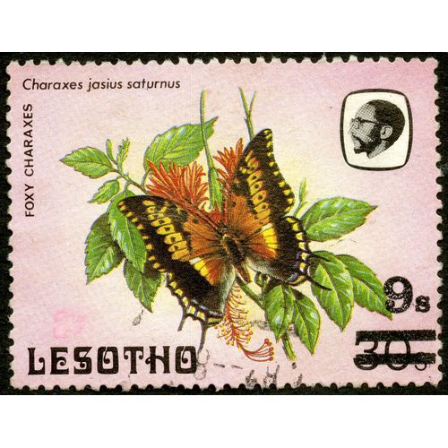 Timbre Oblitéré Lesotho, Foxy Charaxes, Charaxes Jasius Saturnus, 9s, 30s