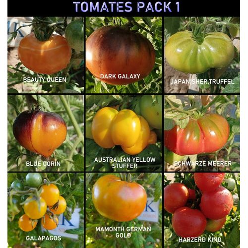Lot De Graines De Tomate, 9 Variétés, 90 Graines (Pack 1)