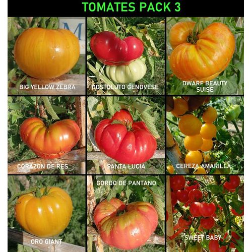 Lot De Graines De Tomate, 9 Variétés, 90 Graines (Pack 3)