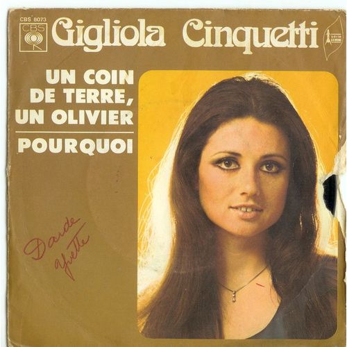 Un Coin De Terre Un Olivier