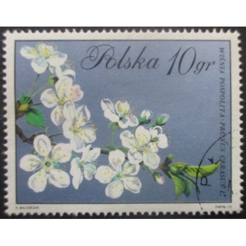 Pologne N°1979 Fleurs Oblitéré