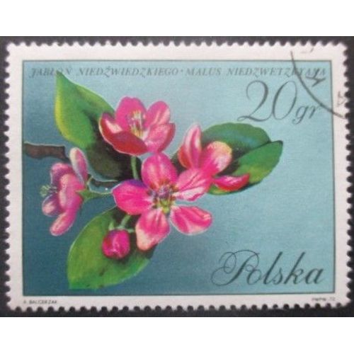 Pologne N°1980 Fleurs Oblitéré
