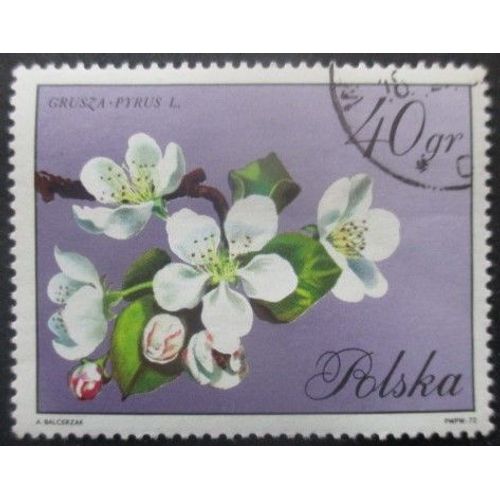 Pologne N°1981 Fleurs Oblitéré