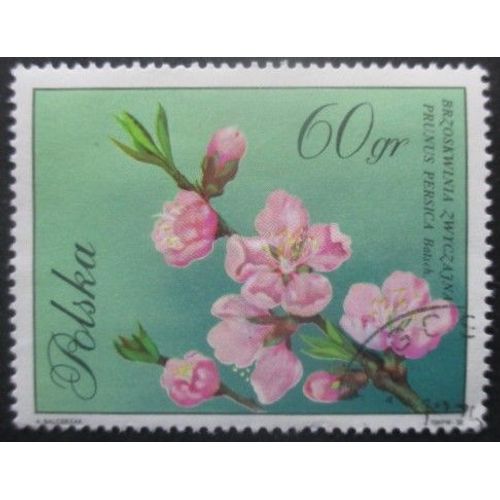 Pologne N°1982 Fleurs Oblitéré
