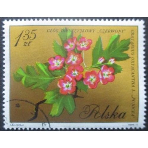 Pologne N°1984 Fleurs Oblitéré