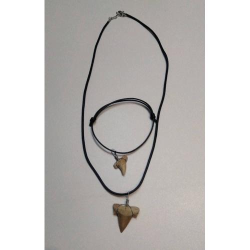 Ensemble Collier Et Bracelet Avec Des Dents De Requin Fossilisés