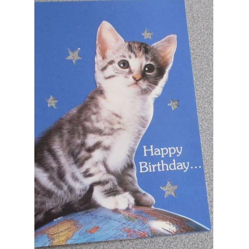 Belle Carte Représentant Un Chaton Tigré Détouré Se Présentant Sur Un Fond Bleu Étoilé - Mention Anglaise Happy Birthday (Joyeux Anniversaire) - Carlton Cards Canada