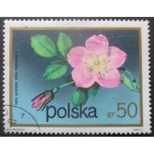 Pologne N°2059 Fleurs Oblitéré
